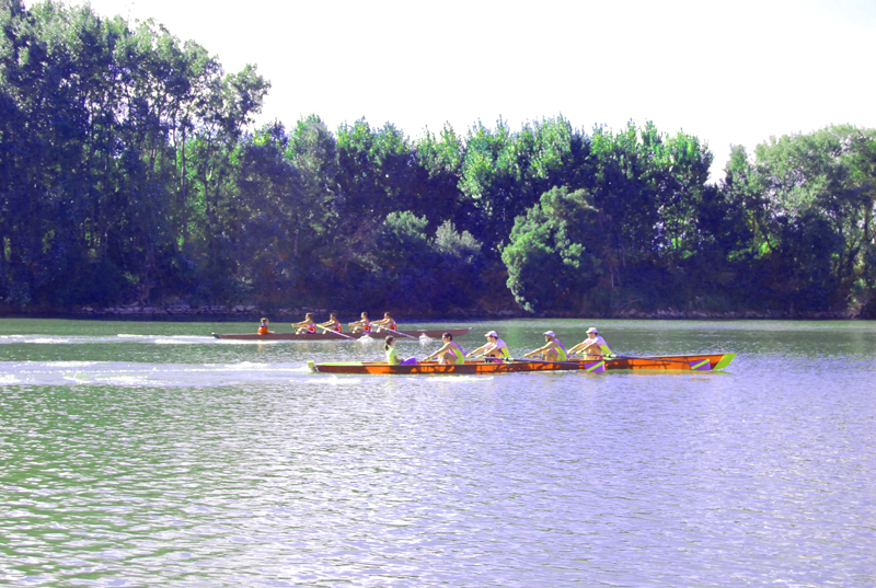 Se celebró en Lodosa el Campeonato Navarro de Yolas